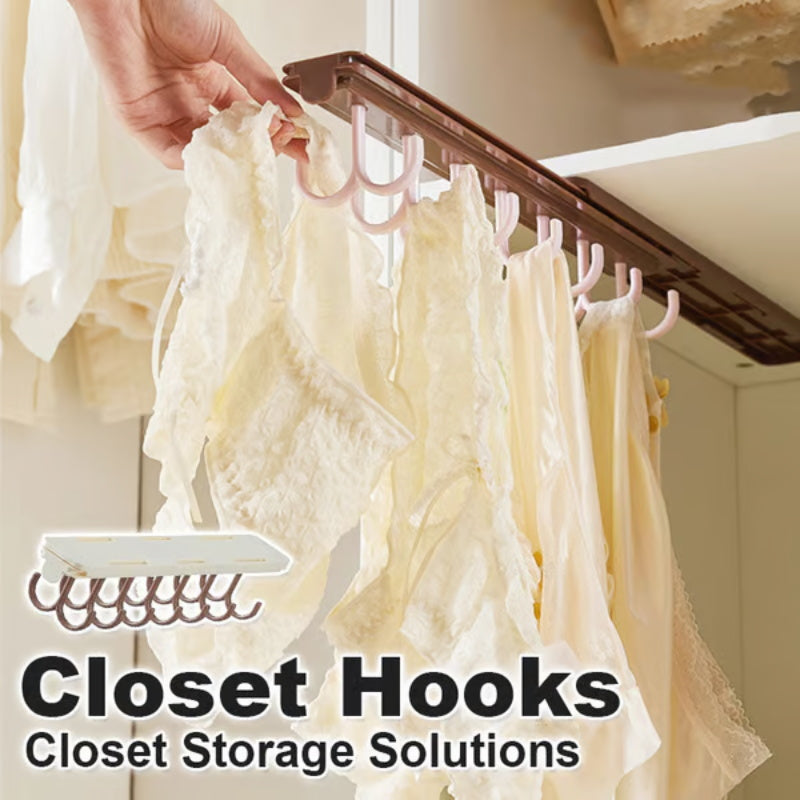 Retractable Sliding Hanging Organizers for Closets