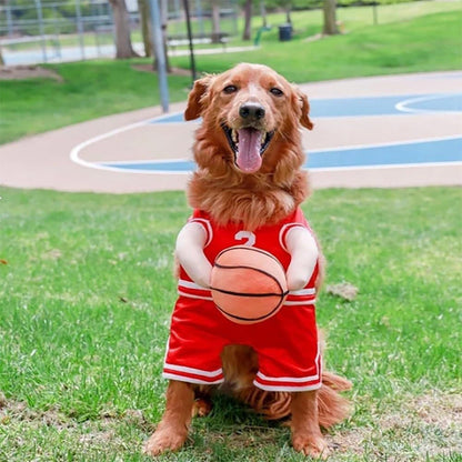 Dog Basketball Player Costume with Ball